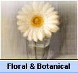 Floral & Botanical