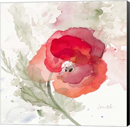 Framed Translucent Poppy II Print