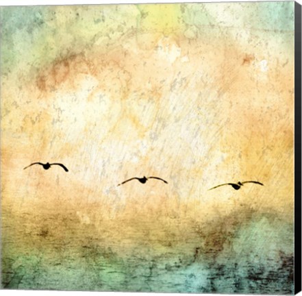 Framed Seagulls in the Sky Square III Print