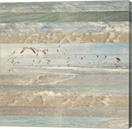 Framed Flying Beach Birds I Print