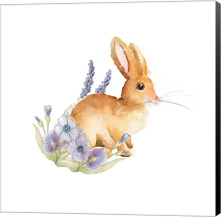 Framed Spring Bunny II Print