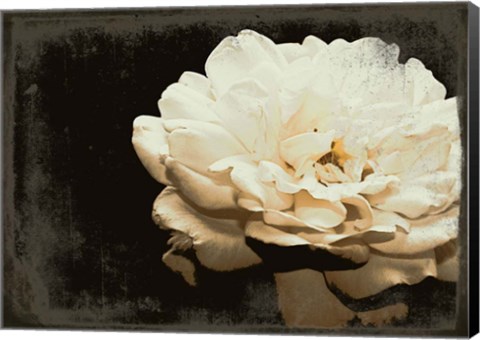 Framed Blooming Elegance Print