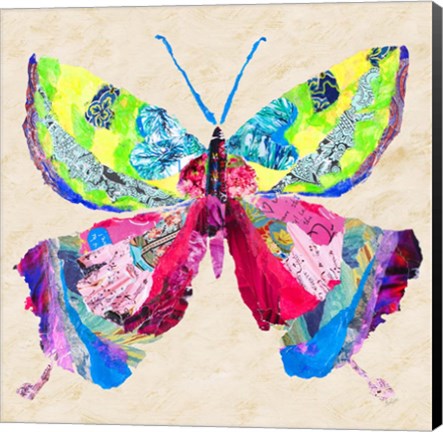 Framed Brilliant Butterfly I Print