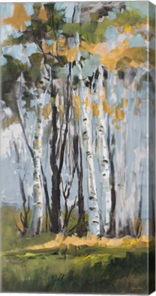 Framed Golden Birch Trees Print