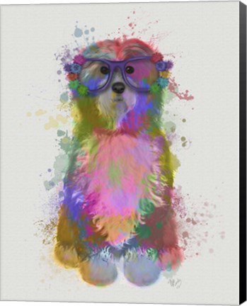 Framed Tibetan Terrier Rainbow Splash Print