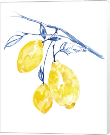 Framed Watercolor Lemons II Print