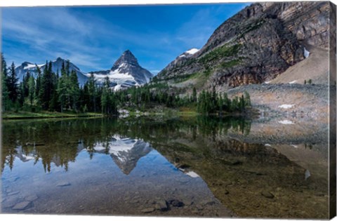 Framed Mount Assiniboine Reflected In Sunburst Lake Print