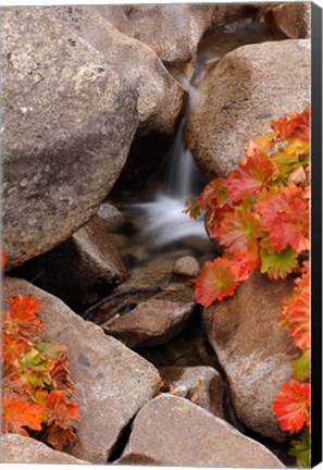 Framed Small Waterfall In The Sierra Nevada Mountains Print