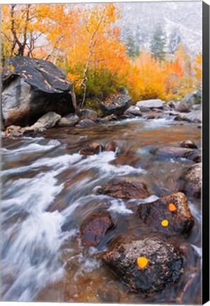 Framed Rushing Water Along Bishop Creek Print