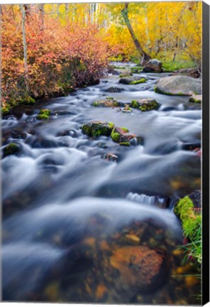 Framed Autumn Colors Along Lundy Creek Print