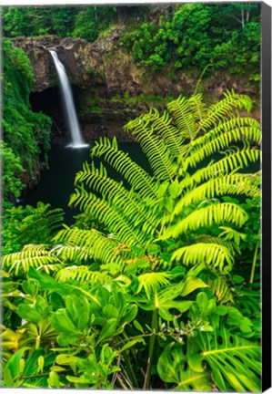 Framed Rainbow Falls, Wailuku River State Park, Hawaii Print