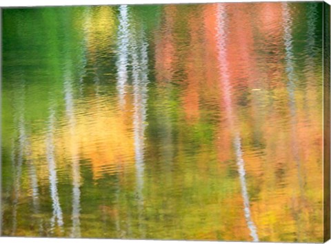 Framed Panned Motion Blur Of An Autumn Woodland Reflection Print