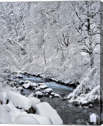 Framed Snow On Boulder Creek, Oregon Print