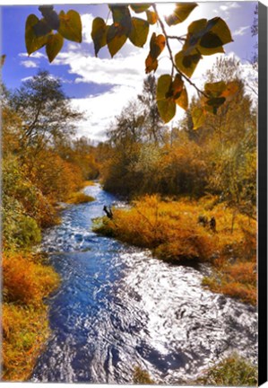 Framed Scenic View Of Dieckman Creek, Oregon Print