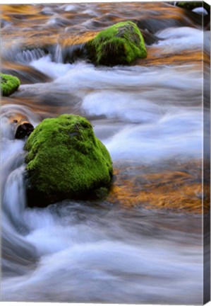 Framed Mckenzie River Flowing Over Moss-Covered Rocks, Oregon Print