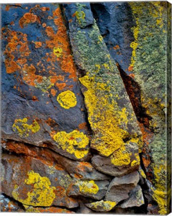 Framed Lichen Covered Basalt Rock, Oregon Print