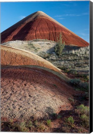 Framed Oregon, John Day Fossil Beds National Monument The Undulating Painted Hills Print