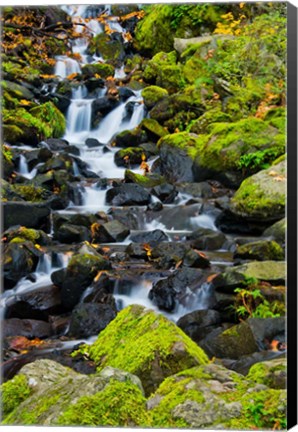 Framed Starvation Creek Falls In Autumn, Columbia Gorge Oregon Print