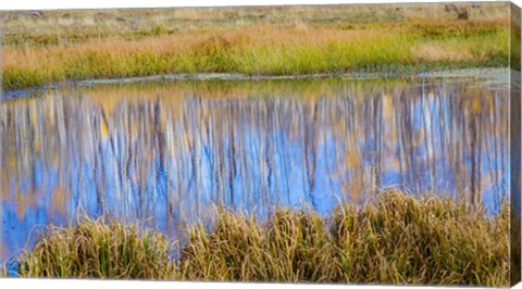 Framed Chriss Lake Landscape, Utah Print