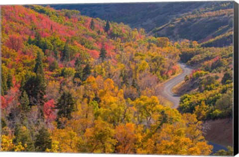 Framed Landscape With Nebo Loop Road, Uinta National Forest, Utah Print