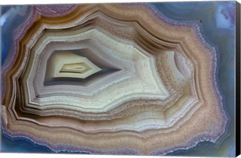 Framed Banded Agate, Sammamish, Washington Print