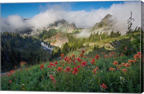 Framed Indian Paintbrush Landscape Near The Tatoosh Range Print