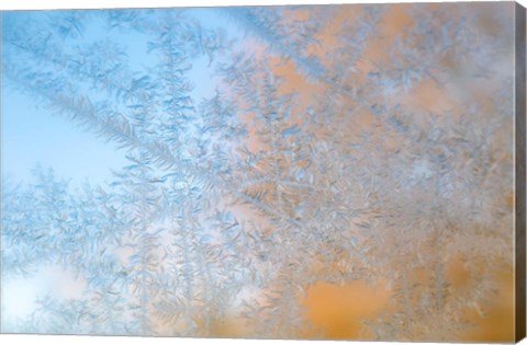 Framed Frost Patterns Formed On Glass Print