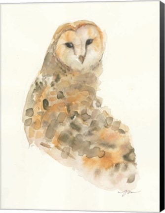 Framed Barn Owl Print