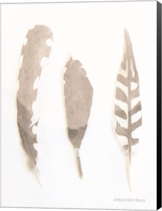 Framed Soft Feathers Study Print