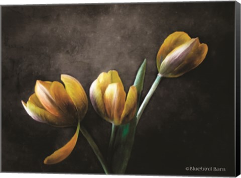 Framed Contemporary Floral Tulips Print