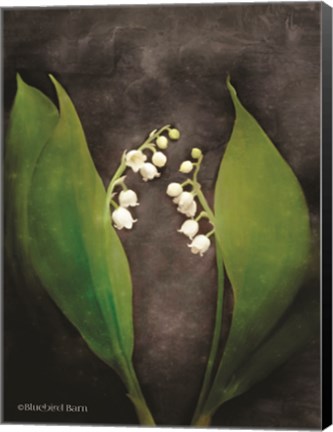 Framed Contemporary Floral Lily of the Valley Print