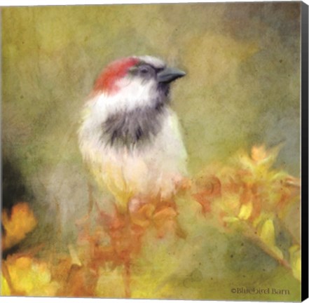 Framed Backyard Bird in Autumn Print