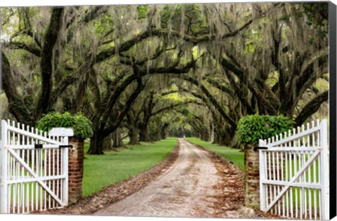 Framed Plantation Road Print