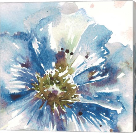 Framed Blue Watercolor Poppy Close Up I Print