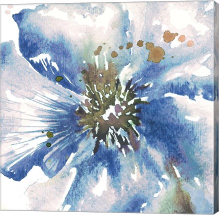 Framed Blue Watercolor Poppy Close Up II Print