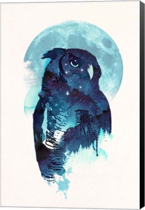 Framed Midnight Owl Print