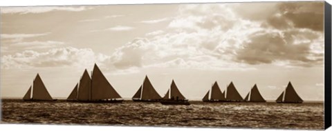 Framed Sailboats Print