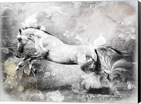 Framed White Horse Print