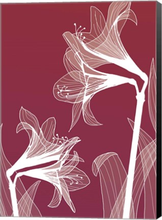 Framed X-ray Flowers Red Print