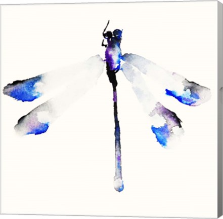 Framed Blue &amp; Violet Dragonfly Print