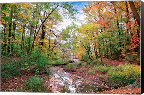 Framed Autumn at Hopkins Pond Print