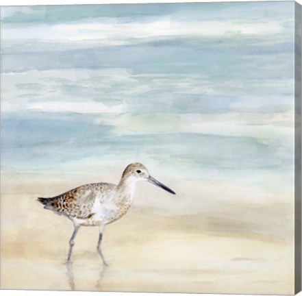 Framed Speckled Willet I Print