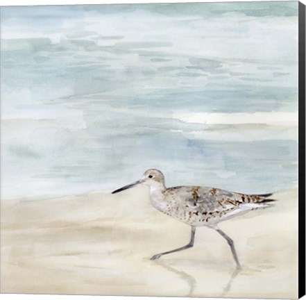 Framed Speckled Willet II Print