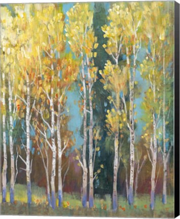 Framed Aspen Grove I Print