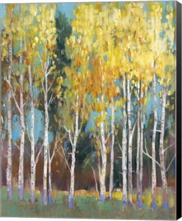 Framed Aspen Grove II Print