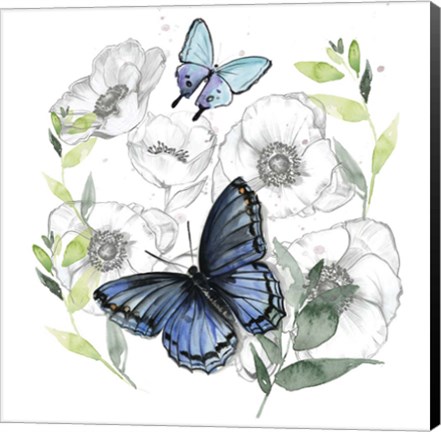 Framed Butterfly Floral II Print