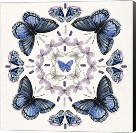 Framed Butterfly Mandala II Print