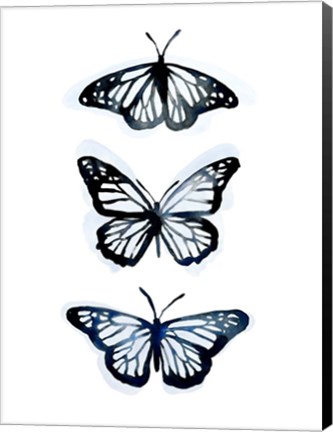 Framed Blue Butterfly Trio II Print