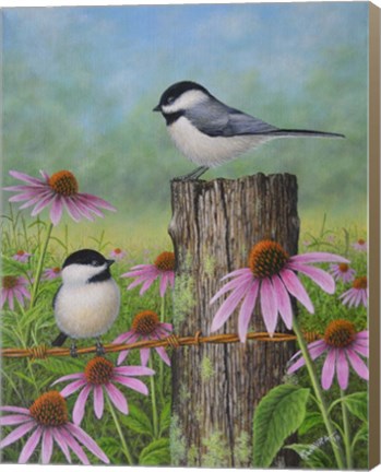 Framed Chickadees and Coneflowers Print