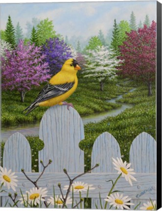 Framed Goldfinch and Daisies Print